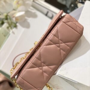 Túi Dior Caro Màu Hồng Nude Siêu Cấp 20cm (2)