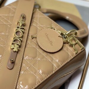 Túi Xách Dior Lady Màu Hồng Da Bóng Siêu Cấp (8)