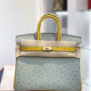 Túi Xách Hermes Birkin Da Đà Điểu Khâu Tay Siêu Cấp 25cm (2)