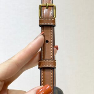 Túi Xách Nữ Hàng Hiệu Celine Triomphe Siêu Cấp Da Mịn 20x12cm