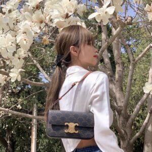 Túi Xách Nữ Hàng Hiệu Celine Triomphe Siêu Cấp Da Mịn 20x12cm