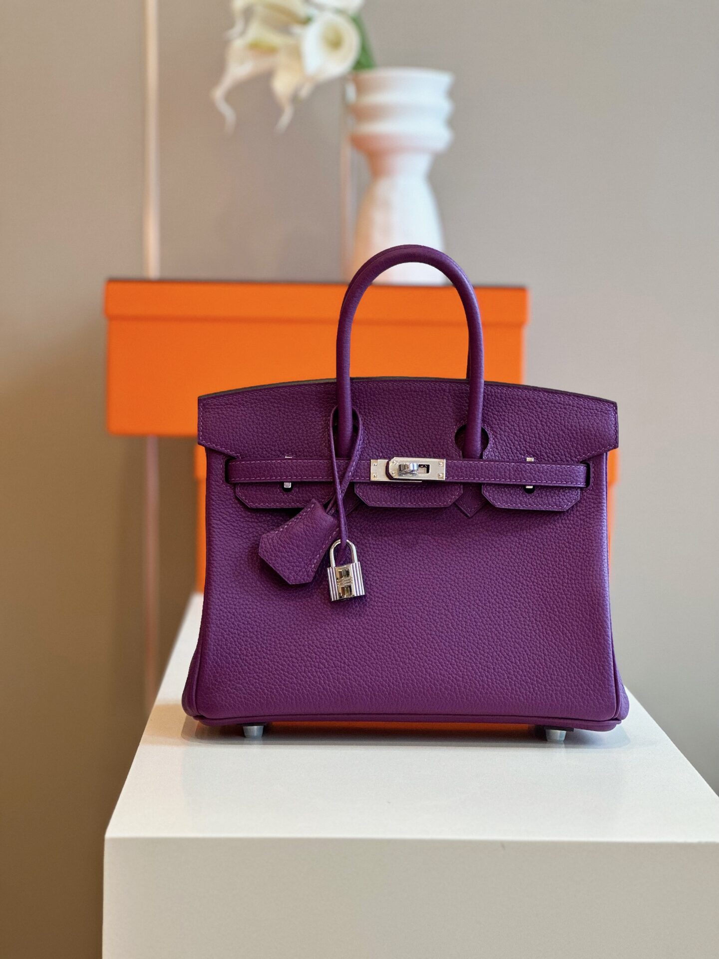 Túi Hermes Birkin Mix Phw Togo Nữ Màu Tím Replica 11 Cao Cấp 25cm (5) Túi Hermes Birkin Mix Phw Togo Nữ Màu Tím Replica 11 Cao Cấp 25cm (2)