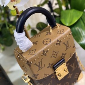 Túi Louis Vuitton LV Dạng Hộp Camera Box Siêu Cấp 12,5x17,5cm (1)