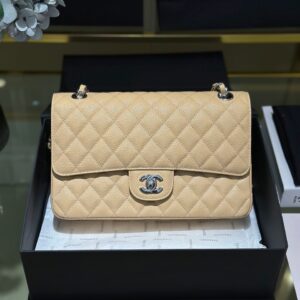 Túi Xách Cao Cấp Chanel Classic Khóa Bạc 25cm (2)