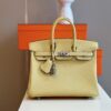 Túi Xách Cao Cấp Hermes Birkin Mix Phw Togo Nữ Màu Vàng Khóa Bạc 25cm (2)