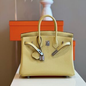 Túi Xách Cao Cấp Hermes Birkin Mix Phw Togo Nữ Màu Vàng Khóa Bạc 25cm (2)