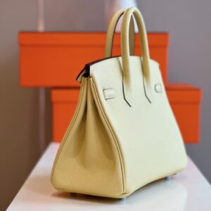 Túi Xách Cao Cấp Hermes Birkin Mix Phw Togo Nữ Màu Vàng Khóa Bạc 25cm (2)