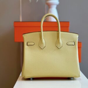 Túi Xách Cao Cấp Hermes Birkin Mix Phw Togo Nữ Màu Vàng Khóa Bạc 25cm (2)