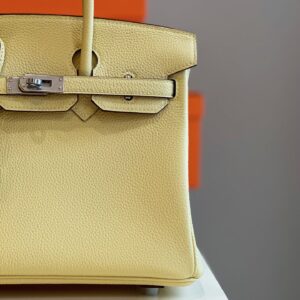 Túi Xách Cao Cấp Hermes Birkin Mix Phw Togo Nữ Màu Vàng Khóa Bạc 25cm (2)