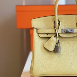 Túi Xách Cao Cấp Hermes Birkin Mix Phw Togo Nữ Màu Vàng Khóa Bạc 25cm (2)