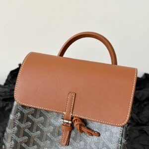 Balo Hàng Hiệu Goyard Mini Họa Tiết Truyền Thống Màu Nâu 23x19cm (2)