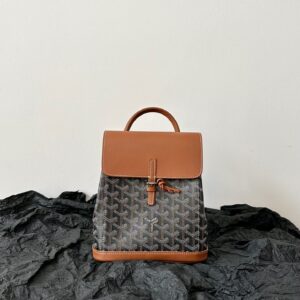 Balo Hàng Hiệu Goyard Mini Họa Tiết Truyền Thống Màu Nâu 23x19cm (2)