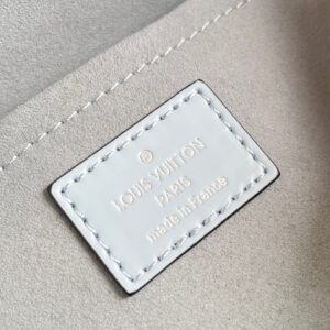 Túi Xách Cao Cấp Louis Vuitton LV Clunny Nữ Màu Xanh 20x16cm (2)