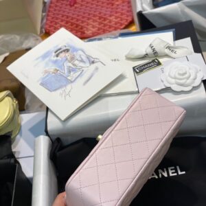 Túi Xách Chanel Handle Like Auth Nữ Màu Hồng 20cm (2)