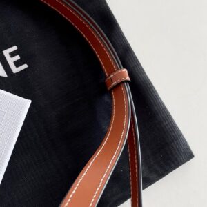 Túi Xách Hàng Hiệu Celine Mini Hình Bầu Dục Màu Nâu 16x12 (2)