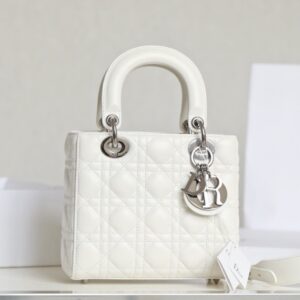 Túi Xách Hàng Hiệu Dior My Lady Replica 11 Nữ Màu Trắng 20×16 (2)