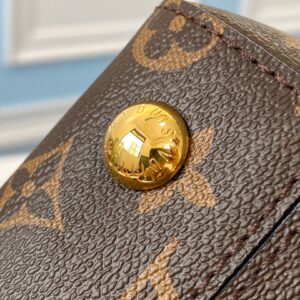 Túi Xách Louis Vuitton LV Clunny Monogram Replica 11 Cao Cấp 28x20cm (2)