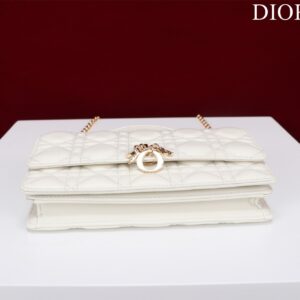 Túi Xách Nữ Dior Woc Replica 11 Cao Cấp Màu Trắng 21×11 (2)