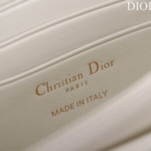 Túi Xách Nữ Dior Woc Replica 11 Cao Cấp Màu Trắng 21×11 (2)