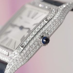 Cartier Santos Dumon Large Chế Tác Kim Cương Moissanite Hong Kong 42mm (2)